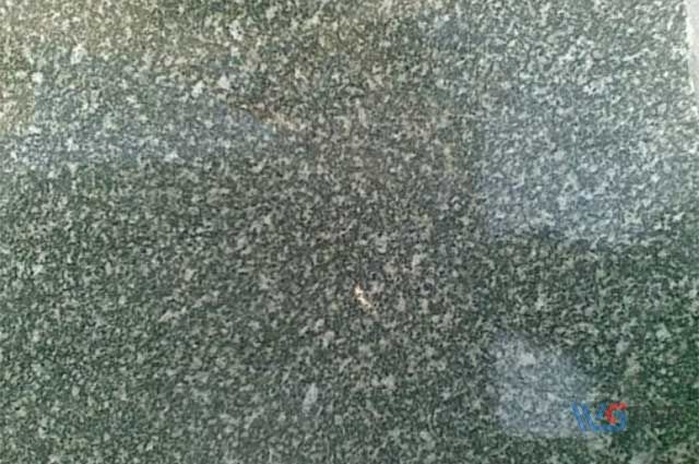 黑龙江槐花绿425-1.jpg