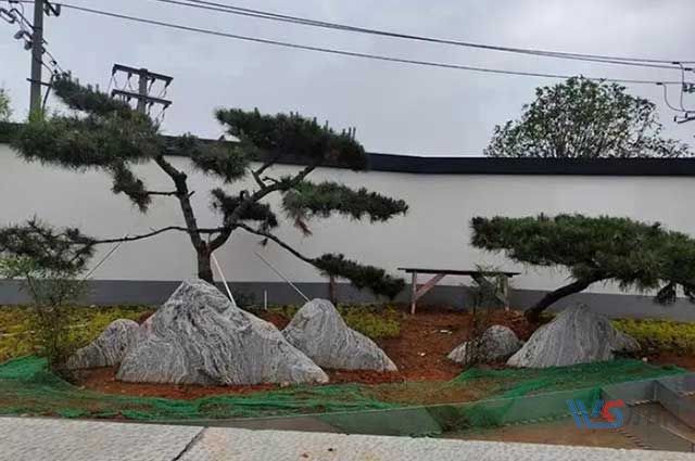 园林庭院景观石