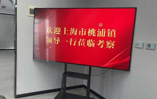 上海市桃浦镇领导一行莅临万石网考察调研 共探产业数智化发展新路径